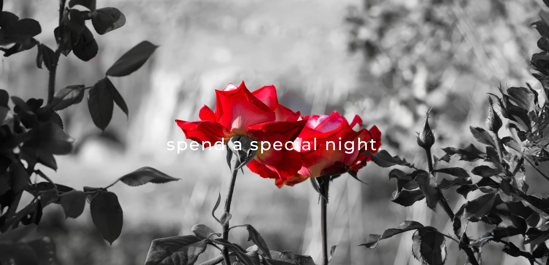 spend a special night